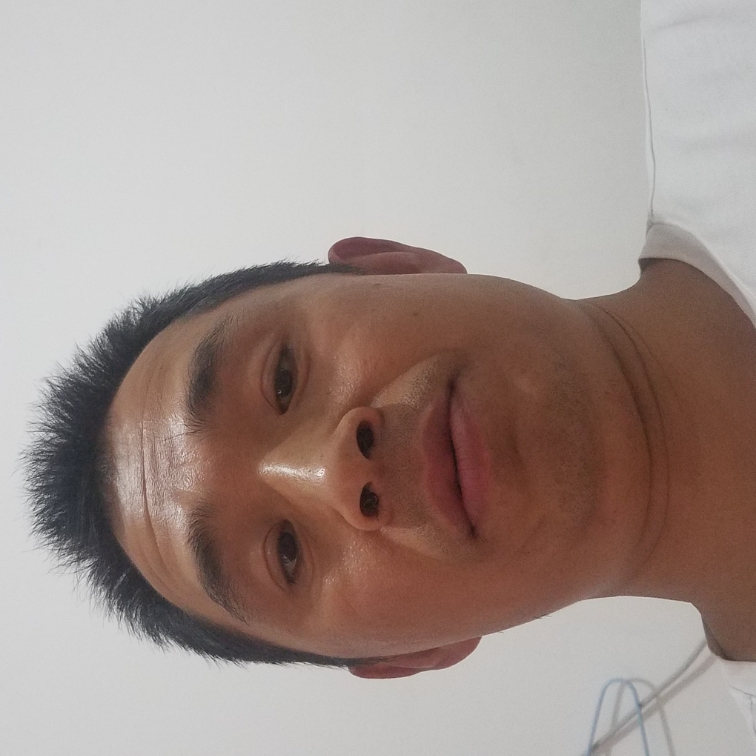 樱花谷歌的照片