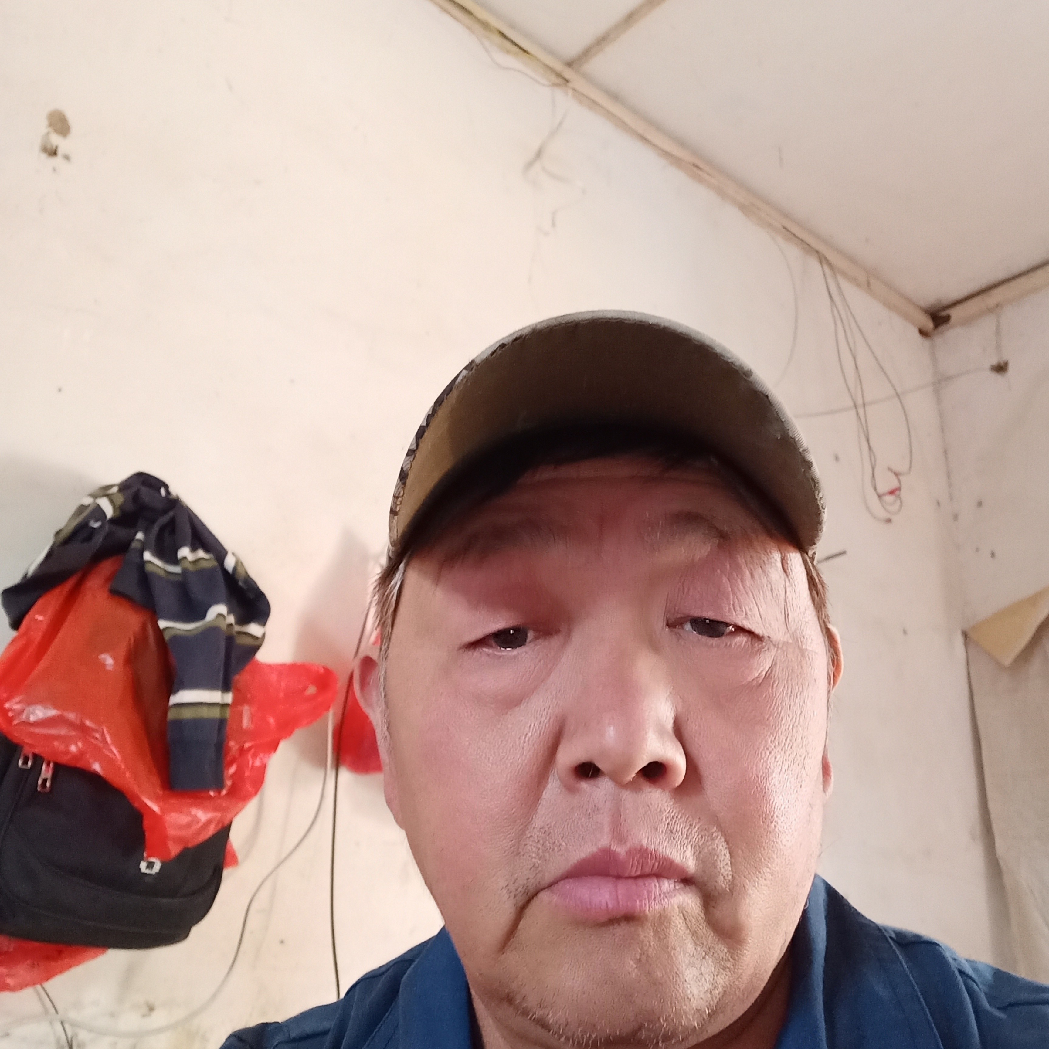 哑铃靓丽的照片