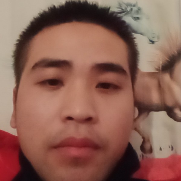 冬日无情的照片