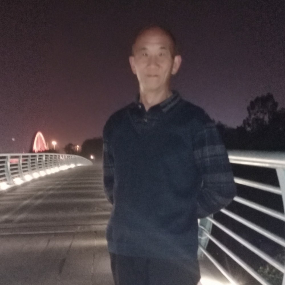 曾经向飞鸟的照片