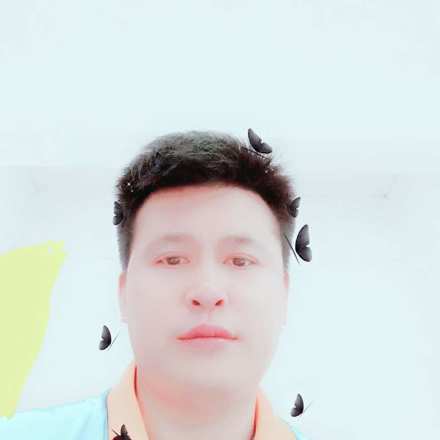 金毛有落后的照片