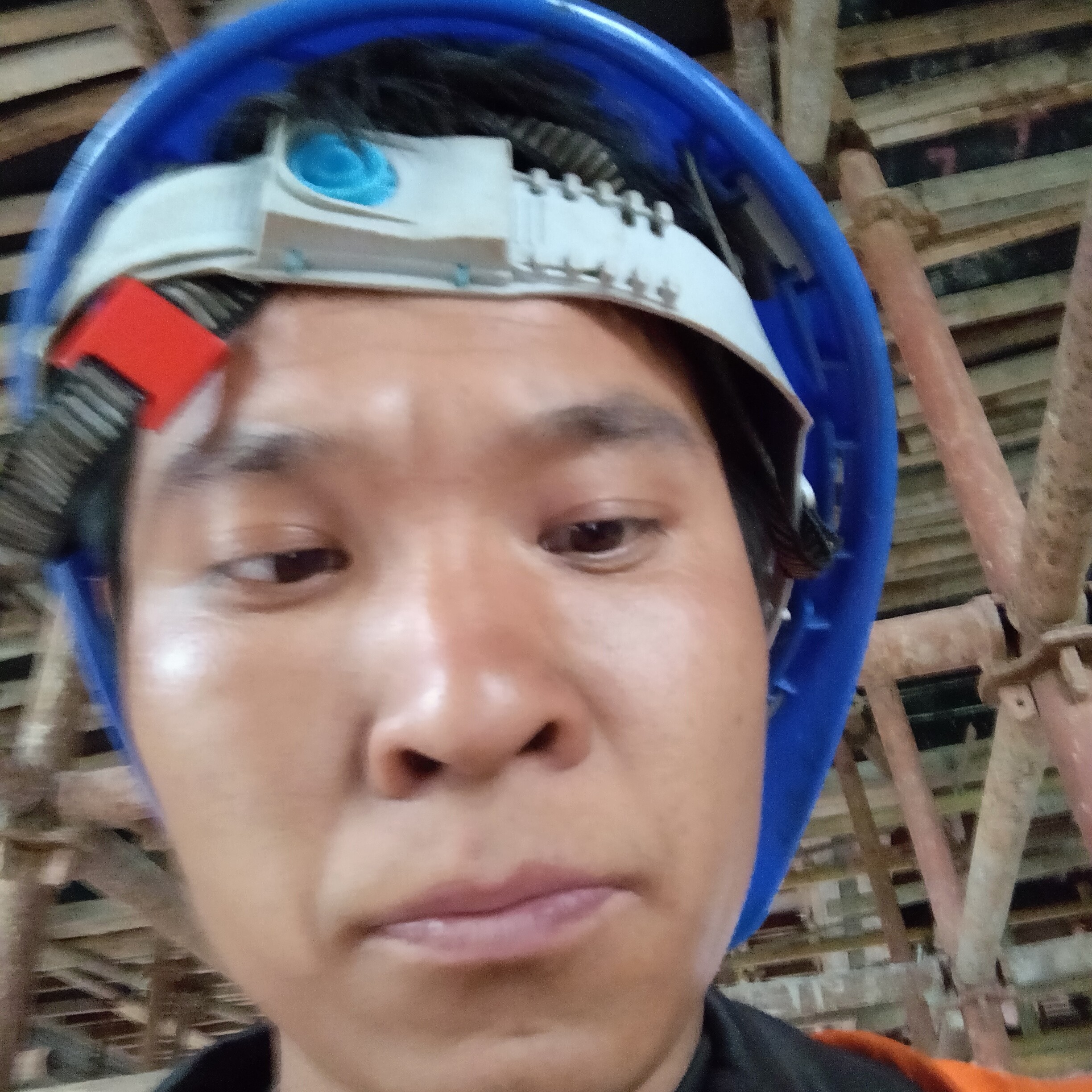 明媚说自行车的照片