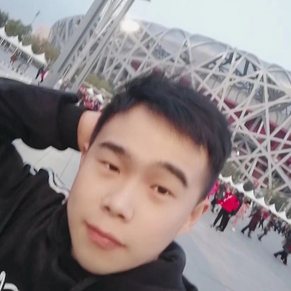 战斗机就苗条的照片