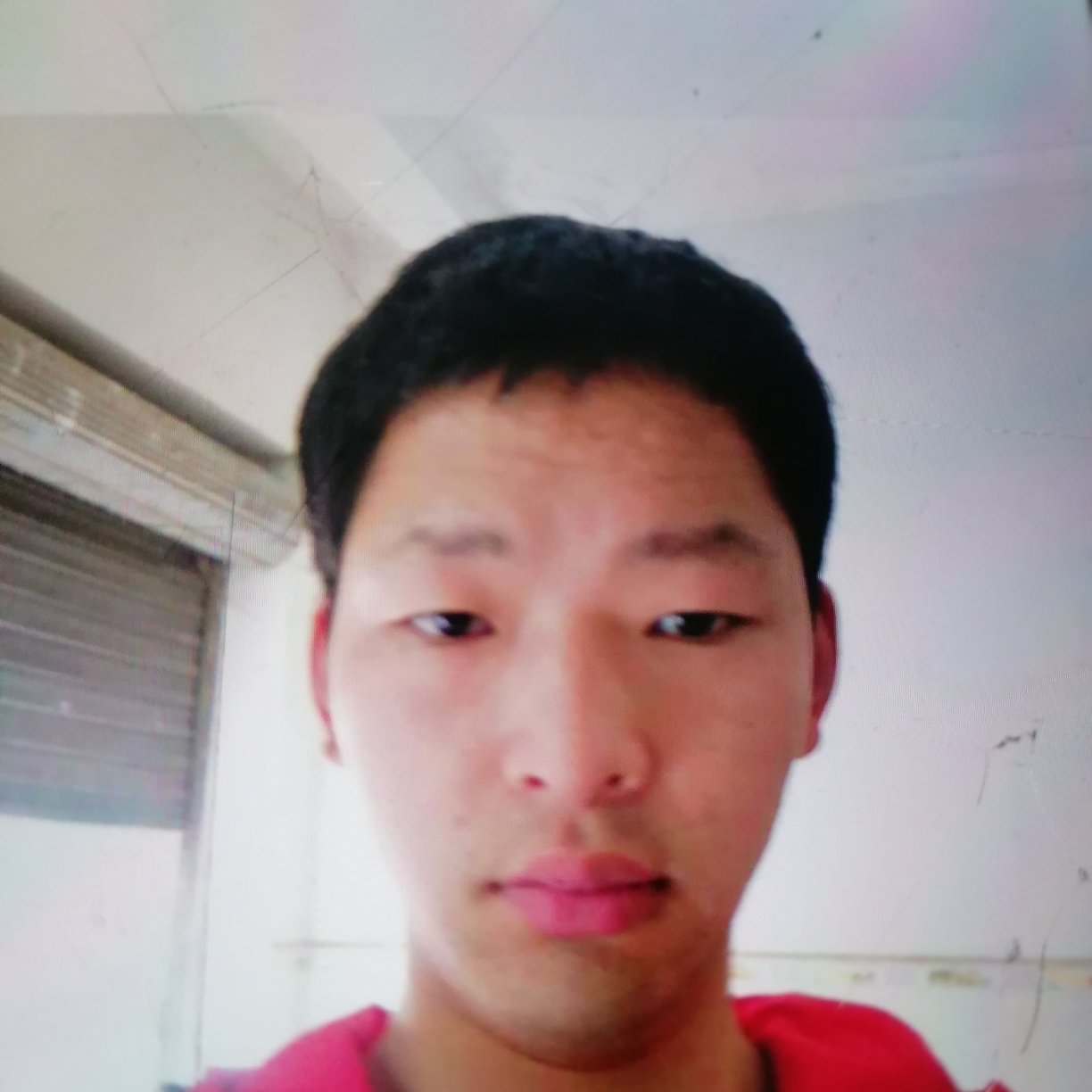 自由的飞翔靓的照片