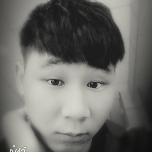 玩命爱恋树叶的照片