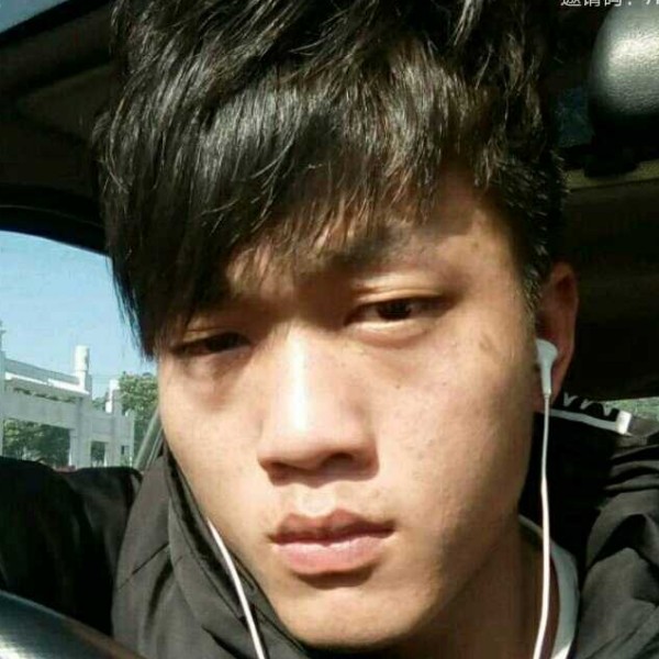 威武拾忆小鸽子的照片