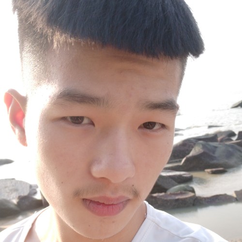ZAYN的照片
