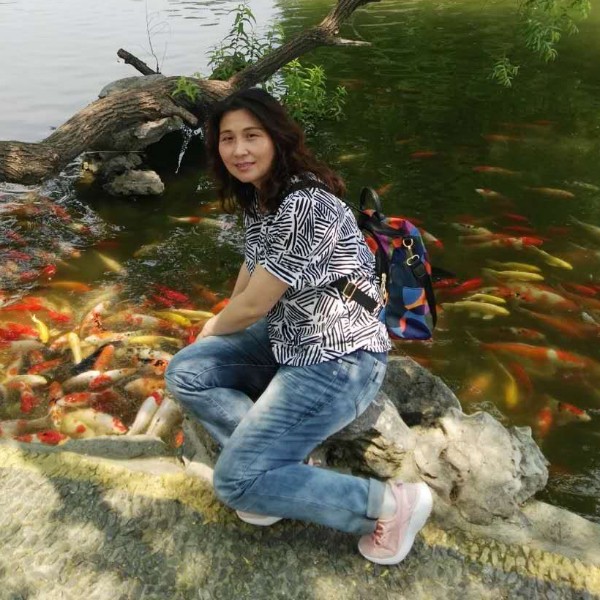 闪亮的萤火的照片