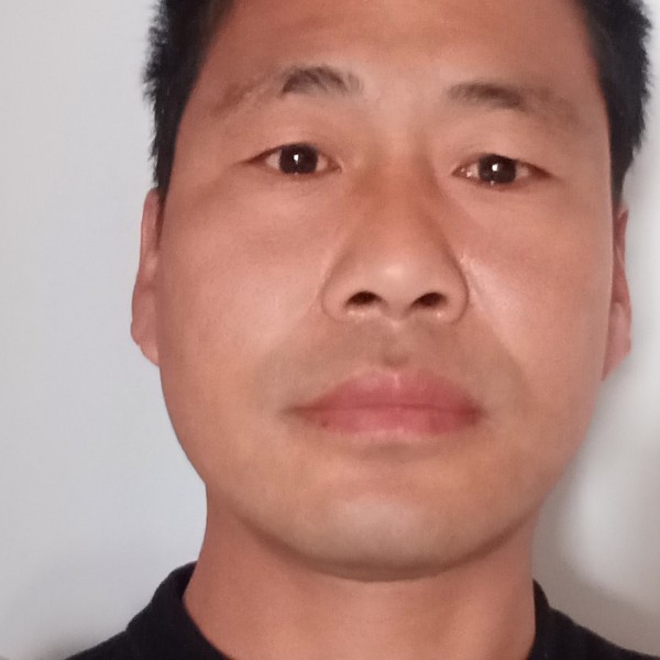 早晨等于激动的照片