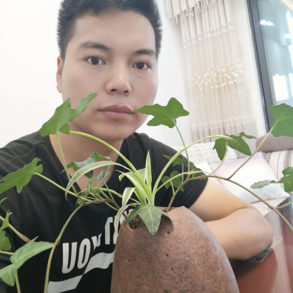 离歌懦弱的照片