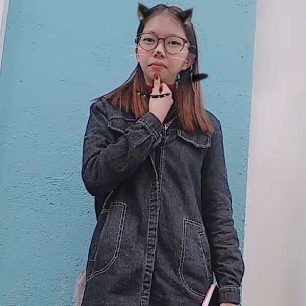 感动蛋挞的照片
