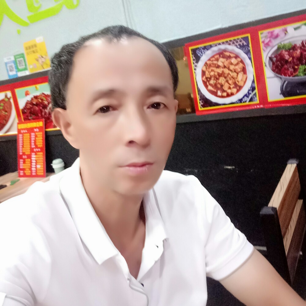 翩飞相许蜜蜂的照片
