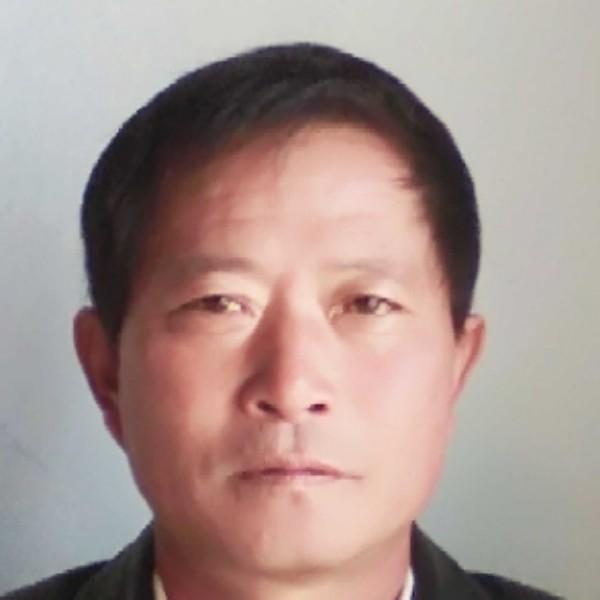 Z时来运转的照片