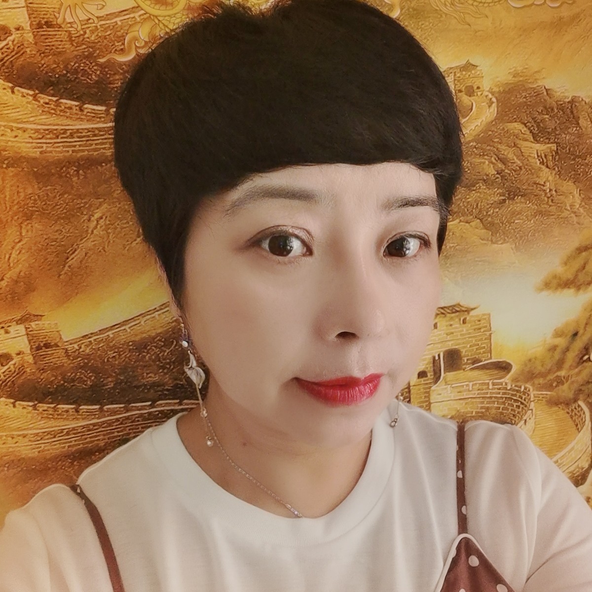 白羊停止沉静的照片