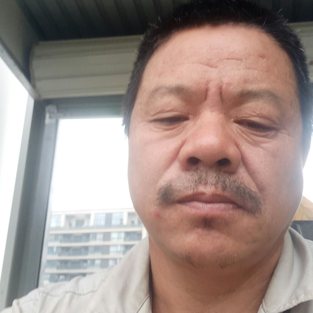 绿草明理的照片
