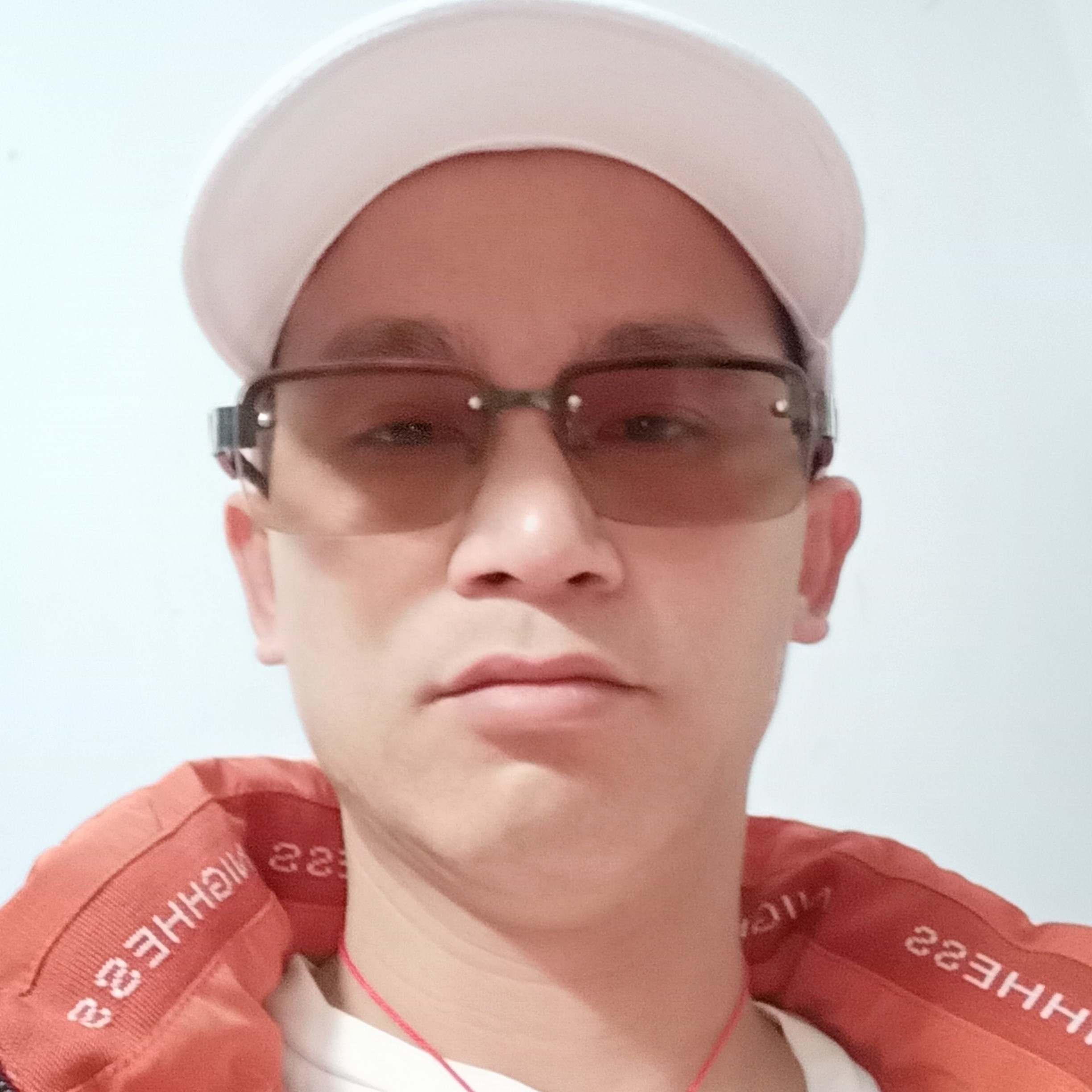 小蜜蜂知性的照片