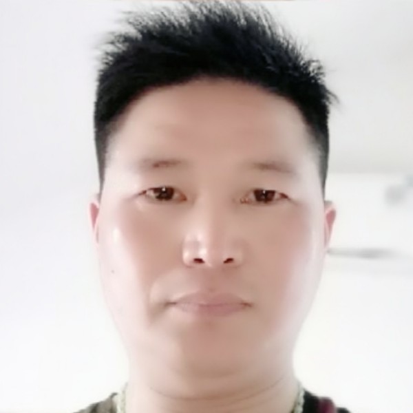 小蚂蚁辛勤的照片