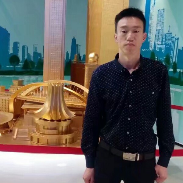 小天鹅大意的照片