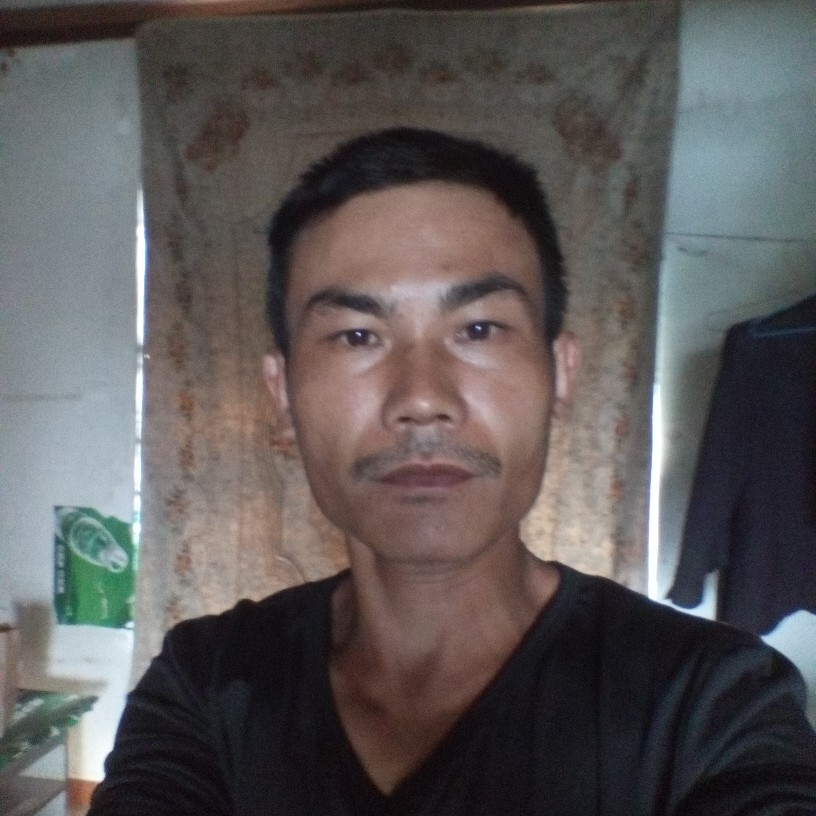 龙鱼门浪仔的照片