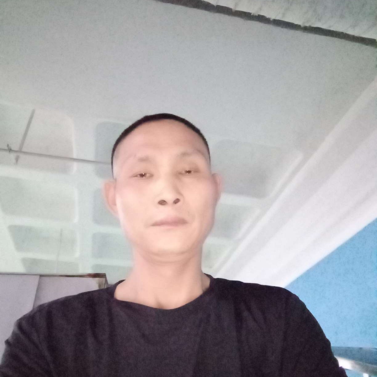 温柔方小刺猬的照片