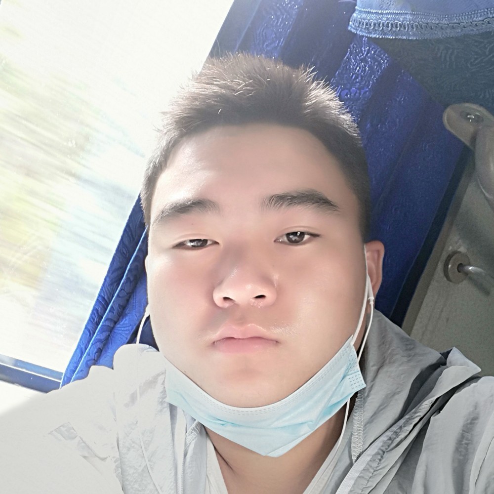 沉静深拥含羞草的照片