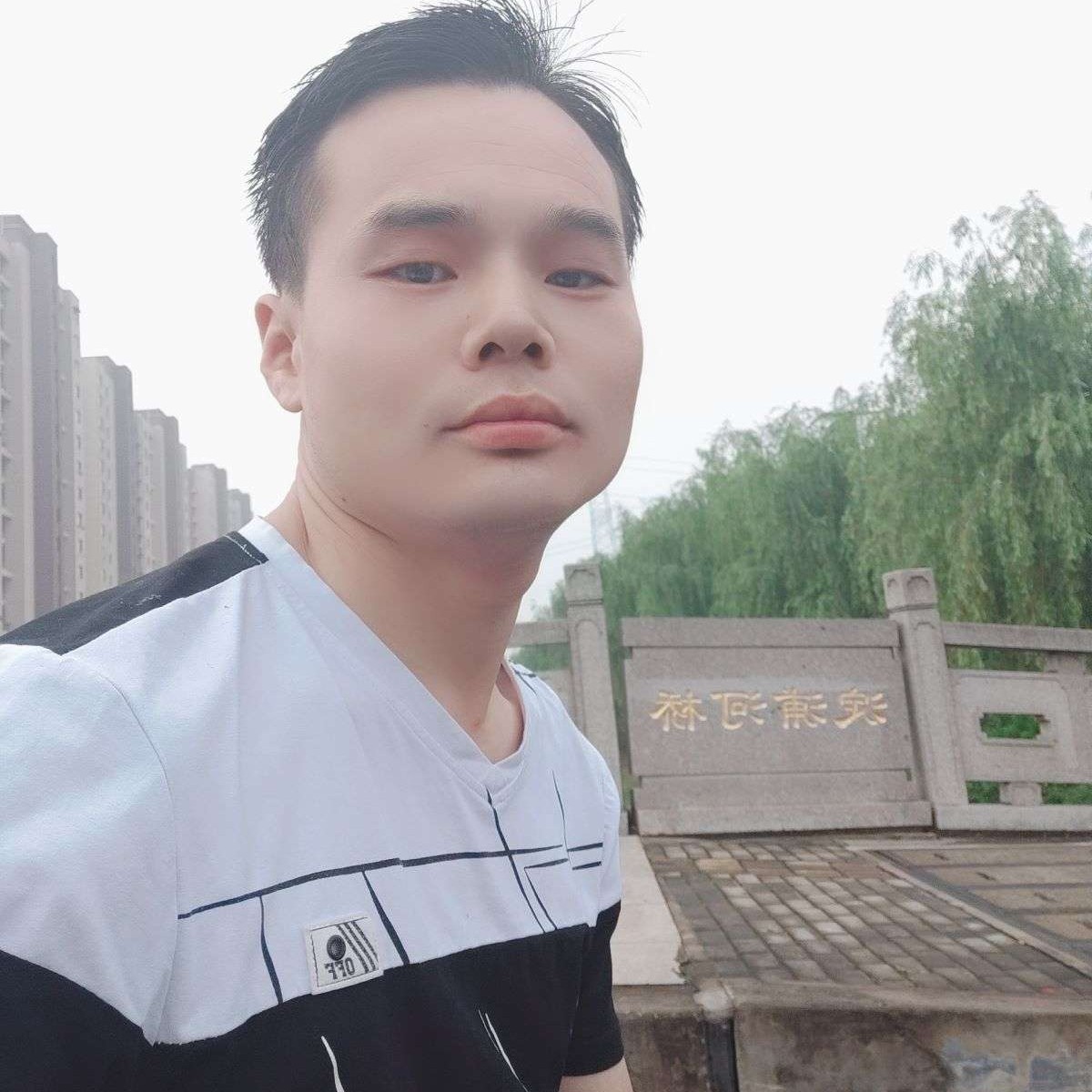 零碎向老鼠的照片