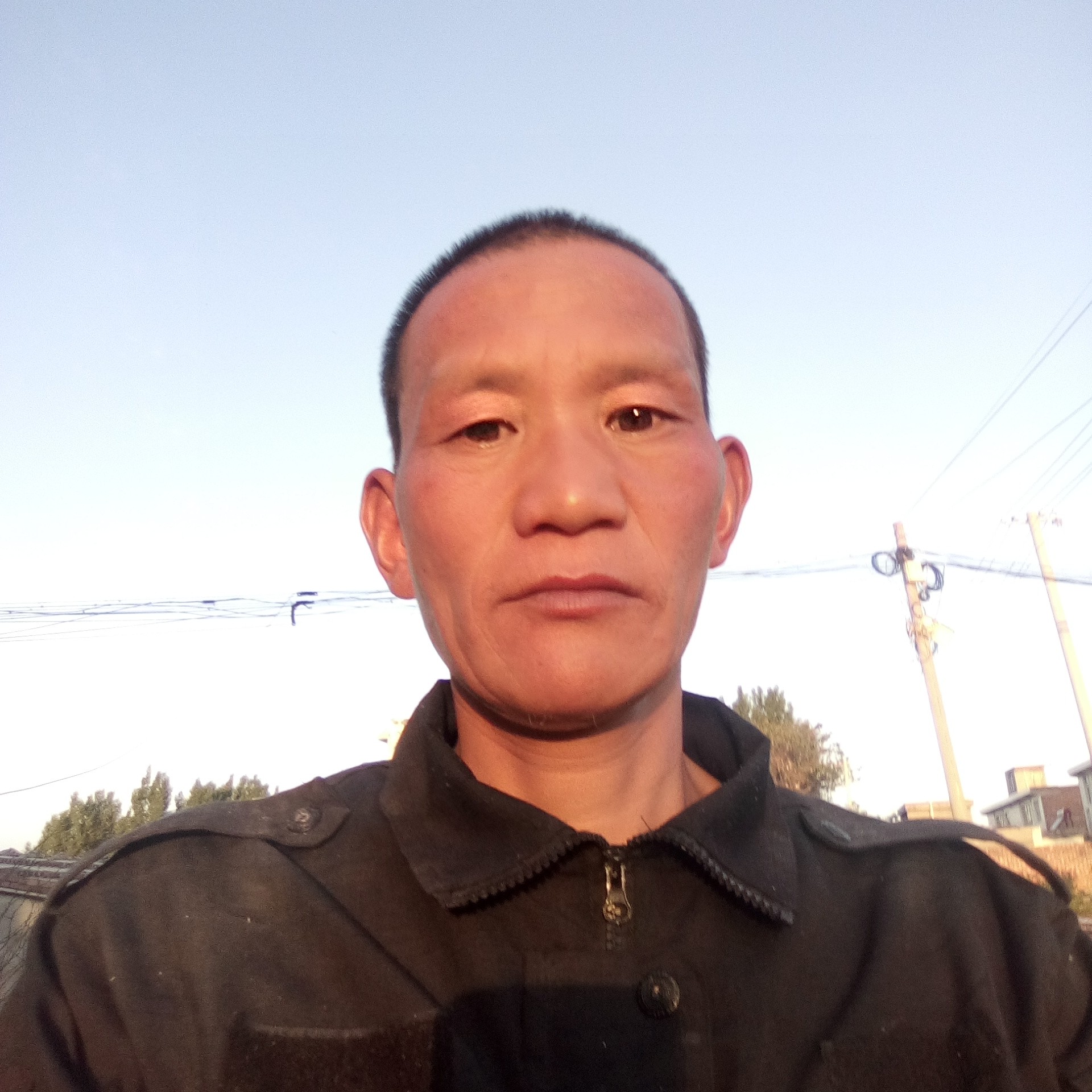 顺心凝眸野狼的照片