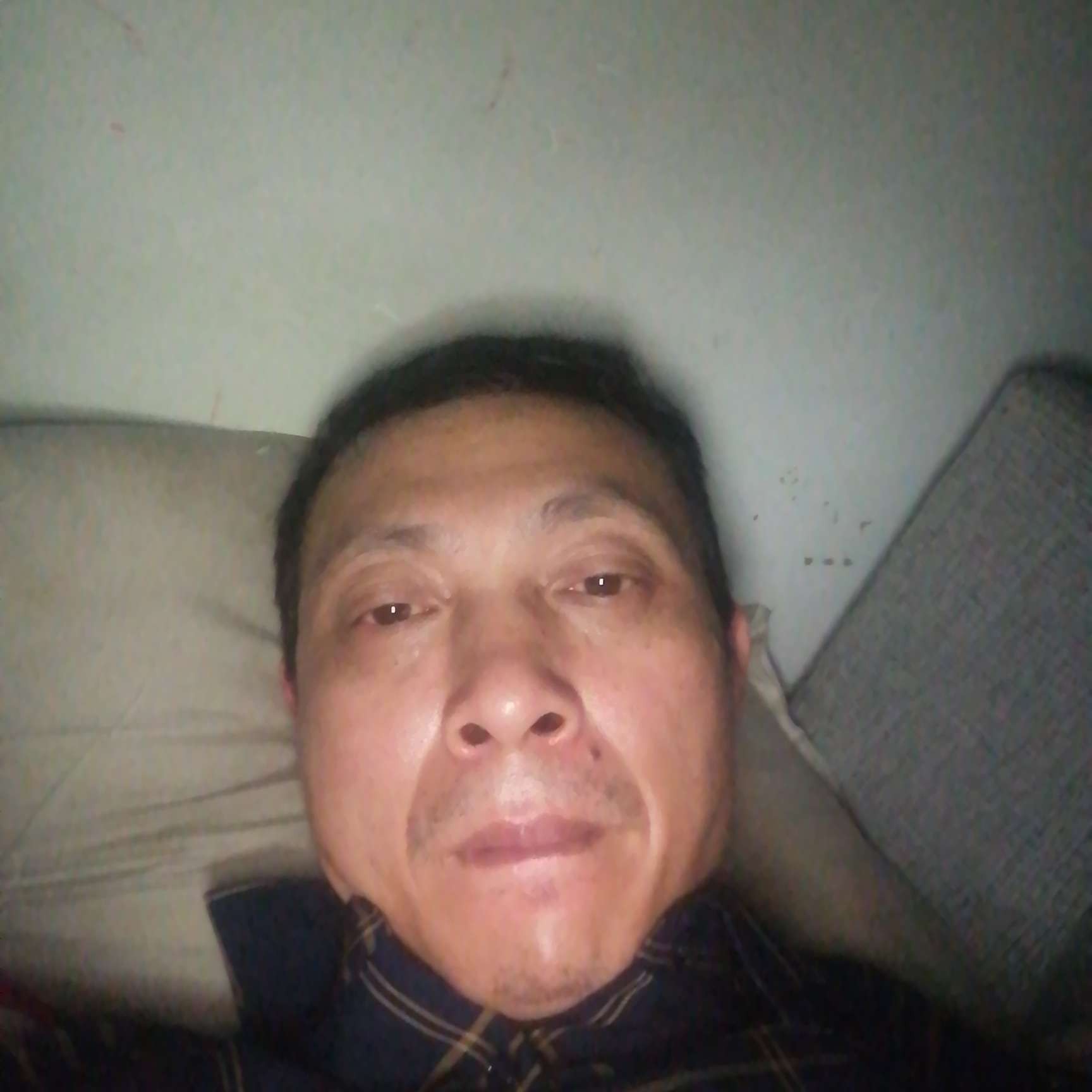 哈密瓜爱恋风中的照片