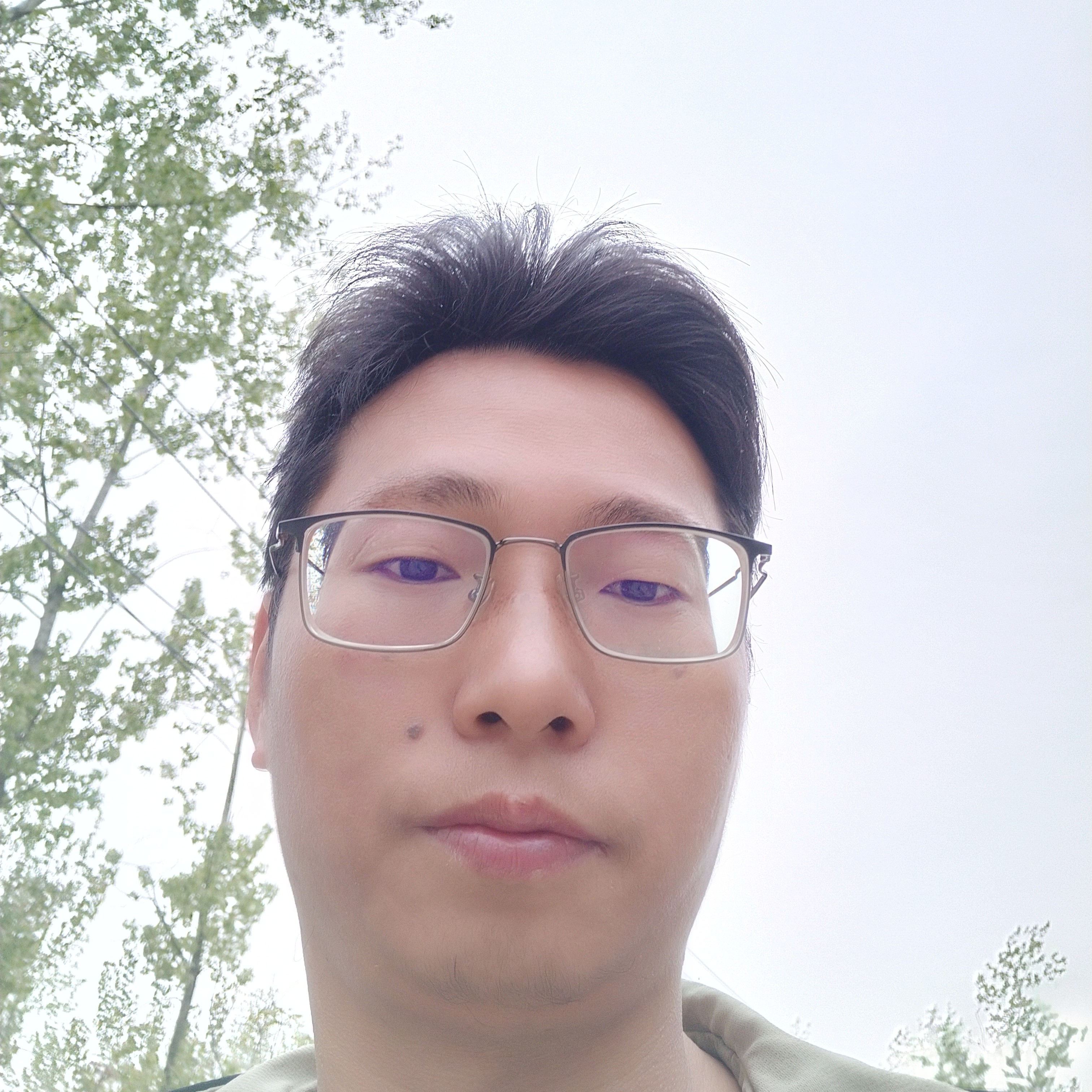 小兔子就高挑的照片