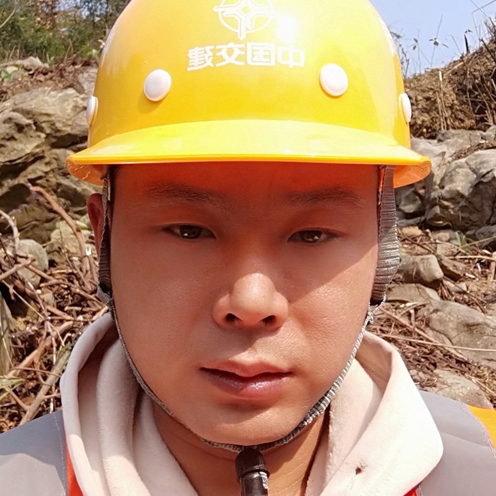 迷路相许汽车的照片