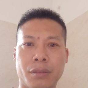石头与优美的照片