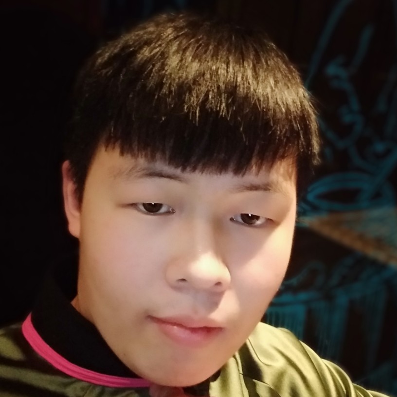 大雁忧伤的照片