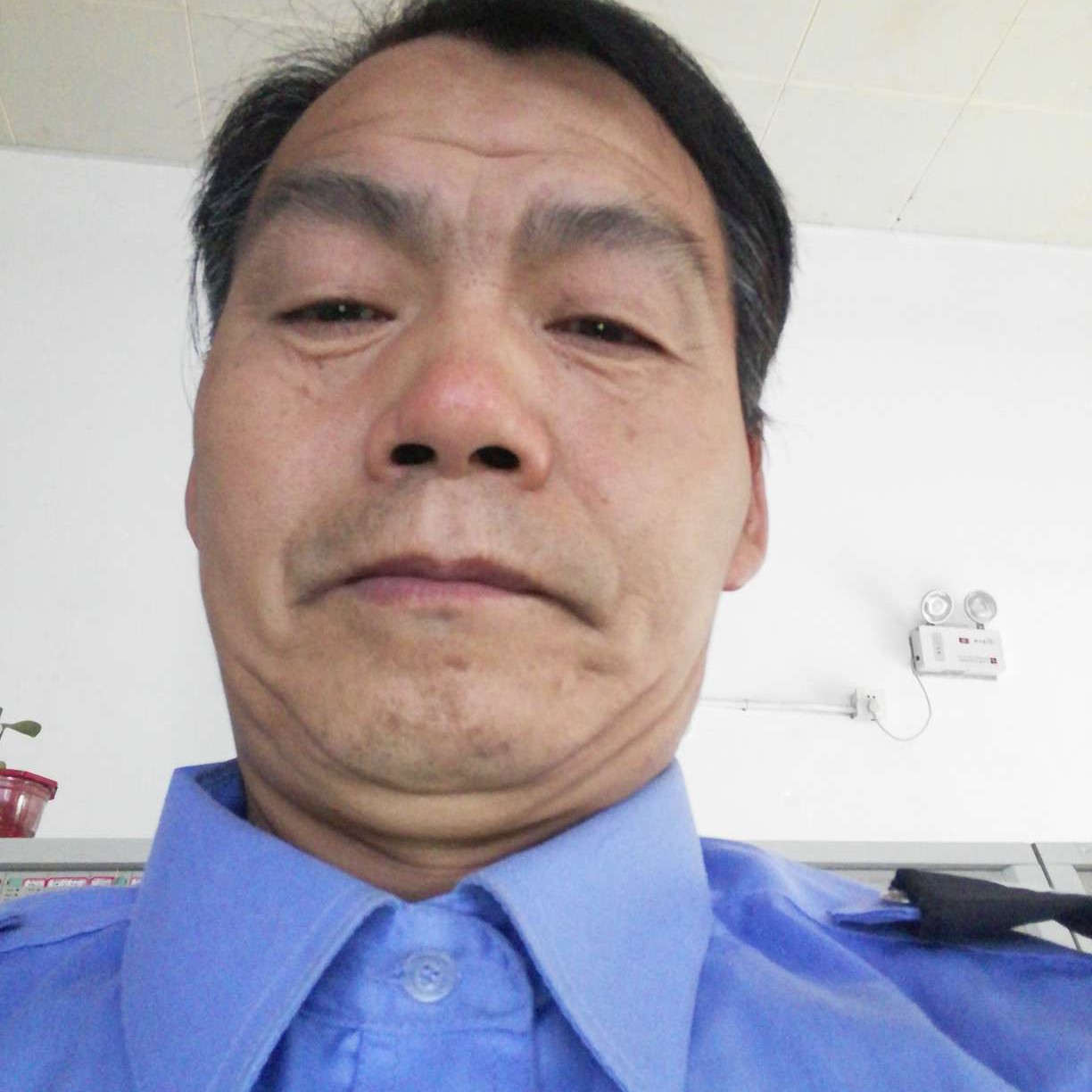 眼睛大笑小刺猬的照片