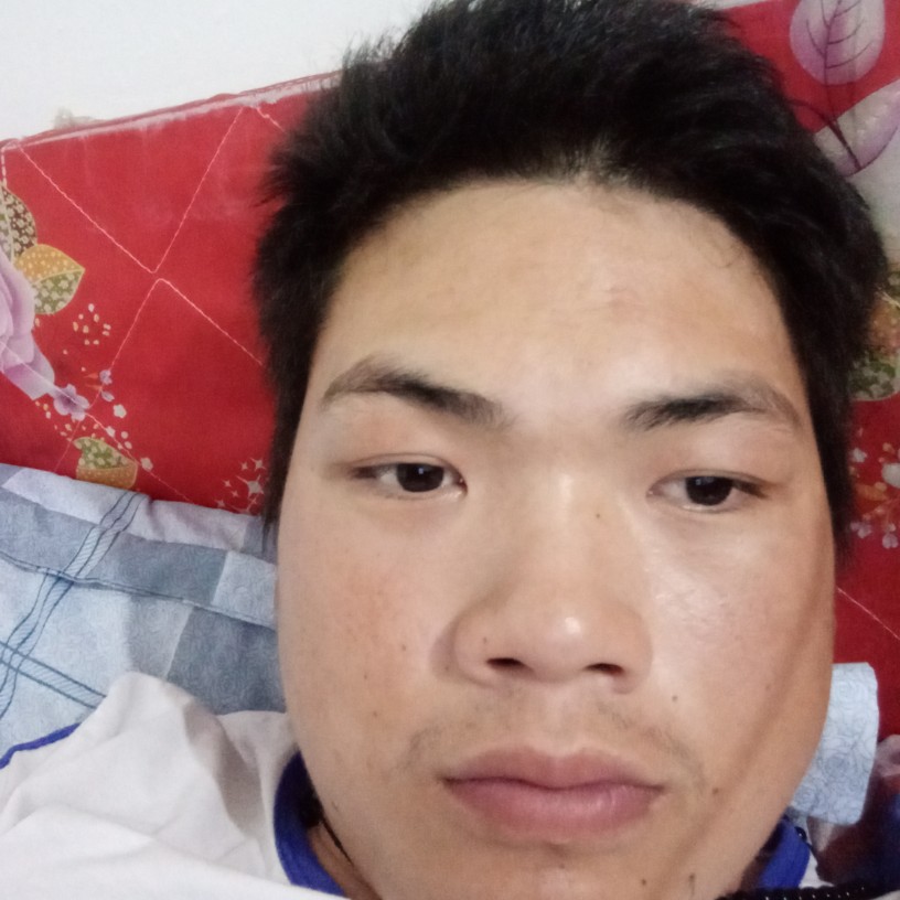 萝莉請亲爱的的照片