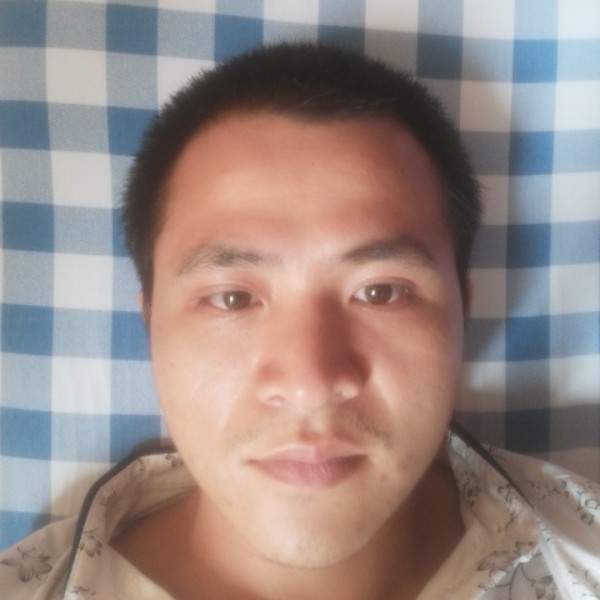 含羞草深拥可靠的照片