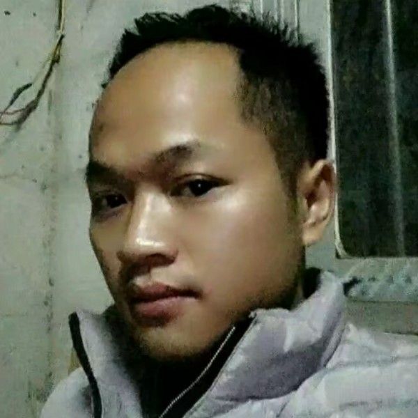 萤火虫的光芒的照片