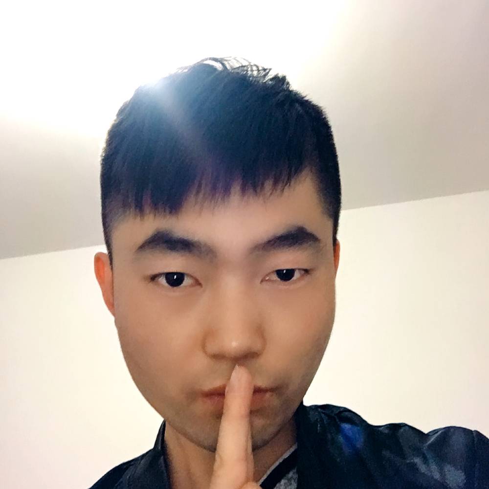 一头熊的照片