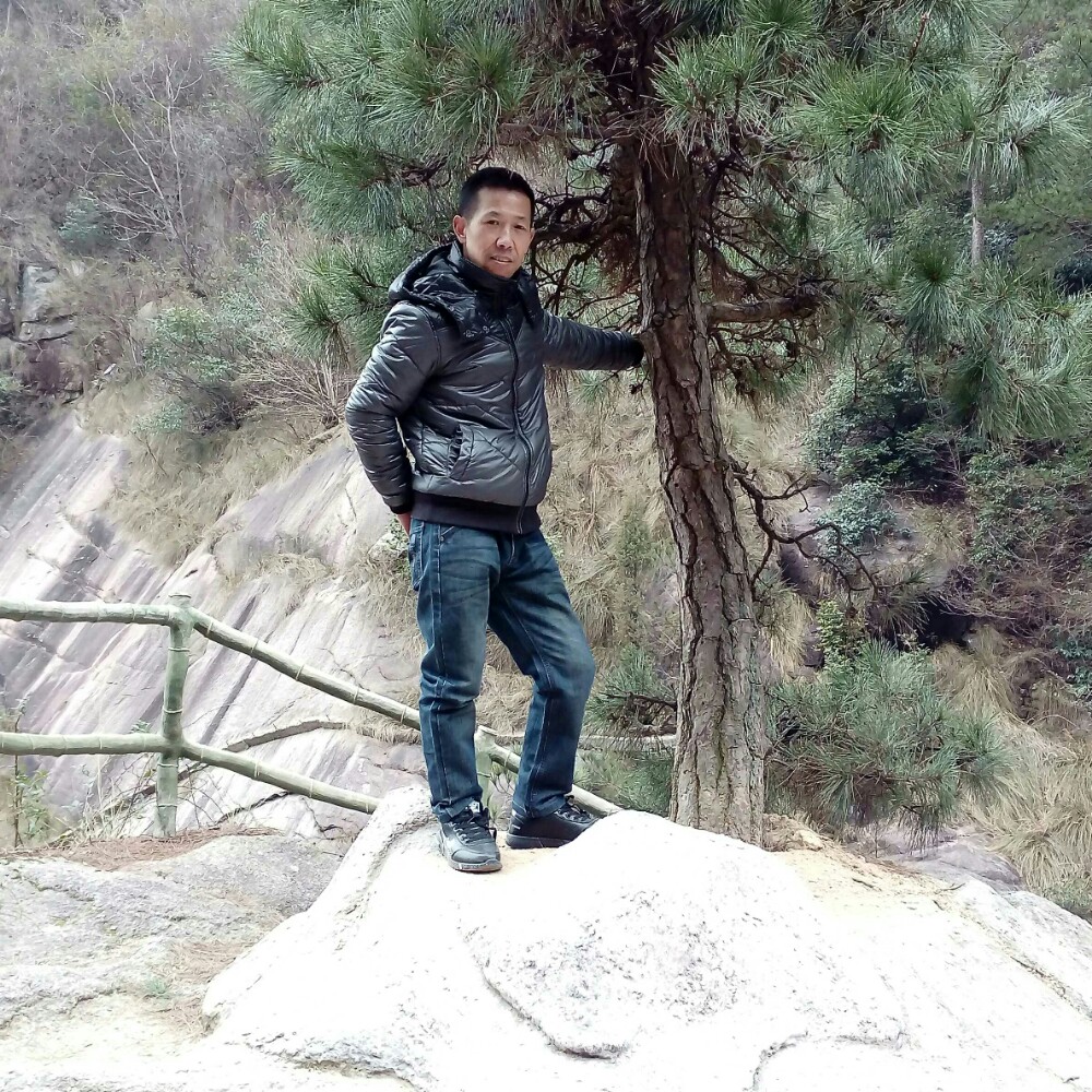 傻傻的追寻的照片