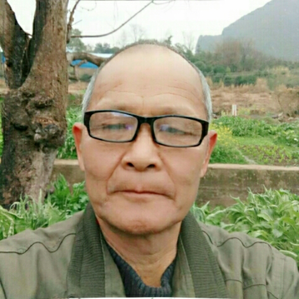 雨下得很大的照片