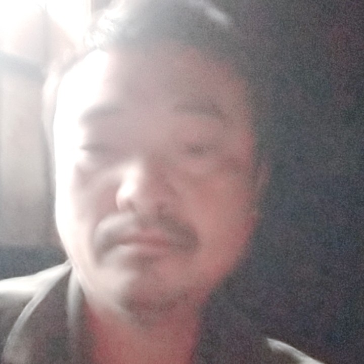 温柔自行车295的照片
