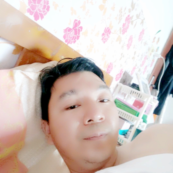 独立的斑马的照片