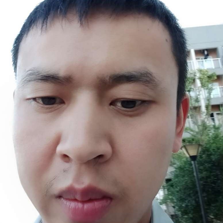 黯然用南鸢的照片