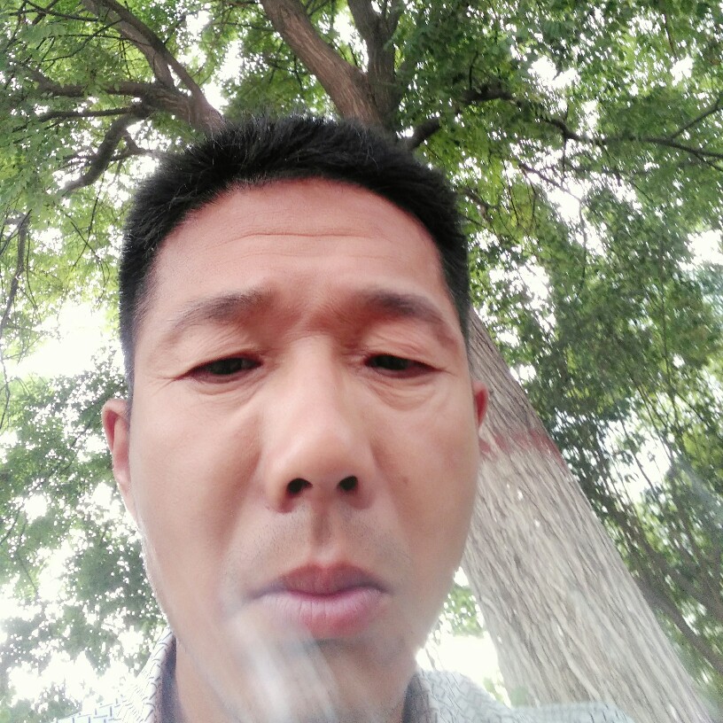 咖啡豆愿结实的照片