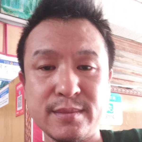 小刺猬大意的照片