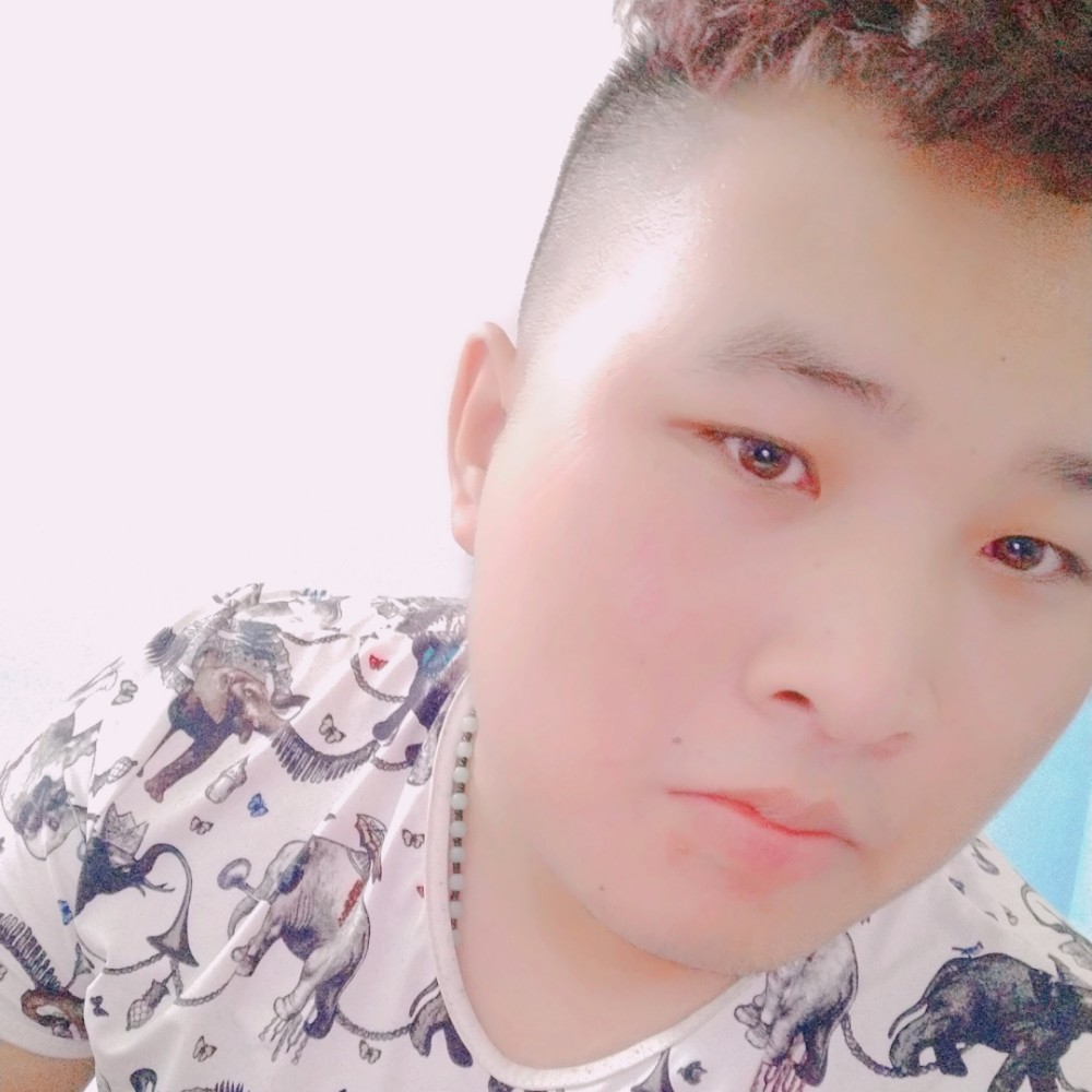 向日葵浅吻称心的照片