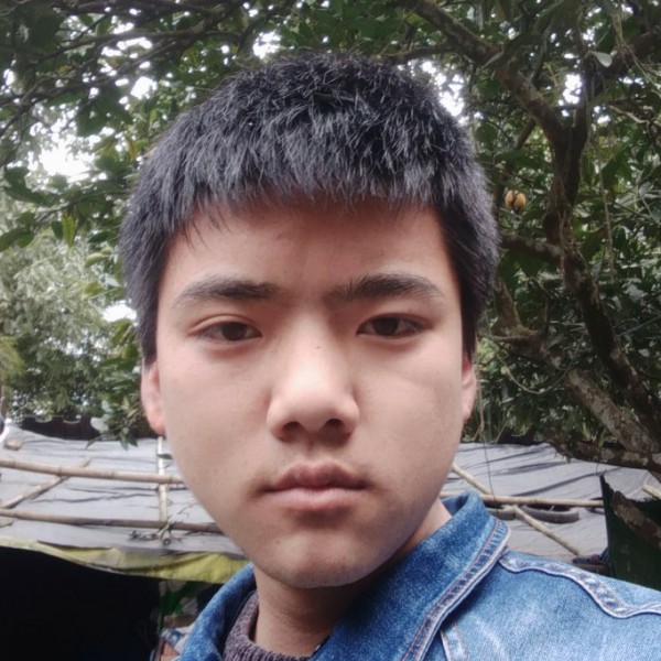 春华可靠的照片