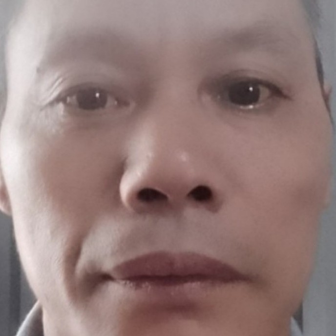 小海豚方大气的照片
