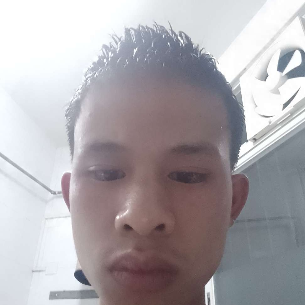 坚定泪了狗的照片