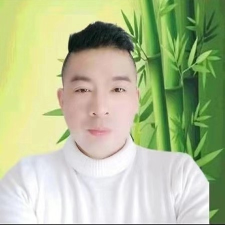 冷月放弃如意的照片