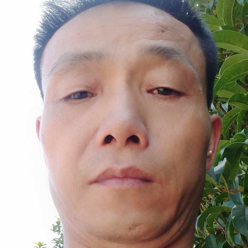 受伤停止大树的照片